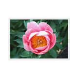 framed-canvas-in-white-24x36-front-6a9b1b28215c6.jpg
