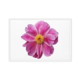 framed-canvas-in-white-24x36-front-6a9b1bc3a4828.jpg