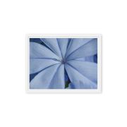 A Waking Dream 9×12 Framed Canvas Print