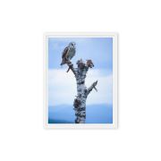 Athena 9×12 Framed Canvas Print