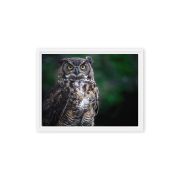 Lord of the Woods 9×12 Framed Canvas Print