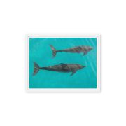 Twin Souls 9×12 Framed Canvas Print