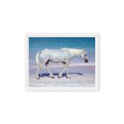 Pink Sand Prince 9×12 Framed Canvas Print
