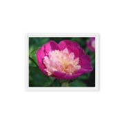 The Birth of Love 9×12 Framed Canvas Print
