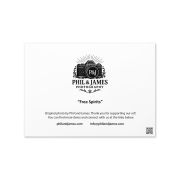 Free Spirits Greeting Card 5×7