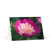 The Birth of Love Greeting Card 5×7