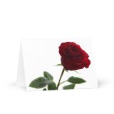 greeting-card-5x7-front-6a0cd3906db14