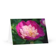 The Birth of Love Greeting Card 5×7