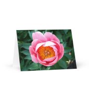 Sunrise in a Cup Greeting Card 5×7
