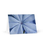 A Waking Dream Greeting Card 5×7