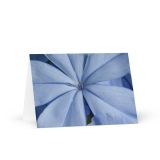 greeting-card-5x7-front-6aa70a1999491.jpg