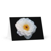 Light Out of the Dark Greeting Card 5×7