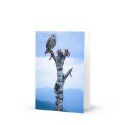 Athena Greeting Card 5×7