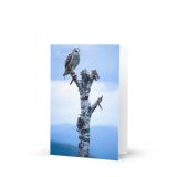 greeting-card-5x7-front-6aa70cbf47c61.jpg