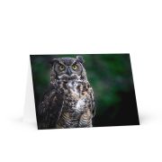 Lord of the Woods Greeting Card 5×7