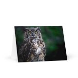 greeting-card-5x7-front-6aa7ee39aee68.jpg
