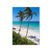 Secret Paradise Greeting Card 5×7