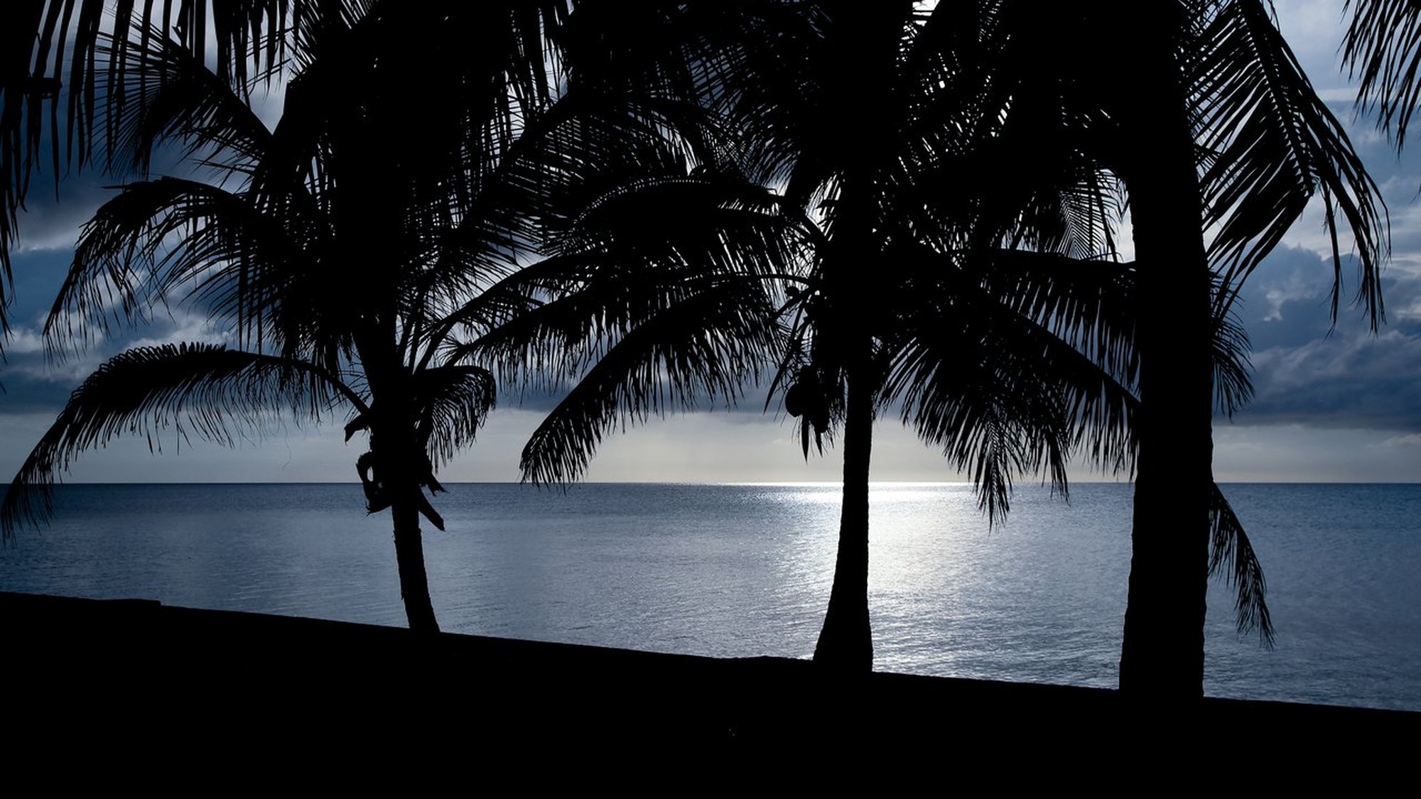 Two palms silhouetted against a Bahamian sky at dusk