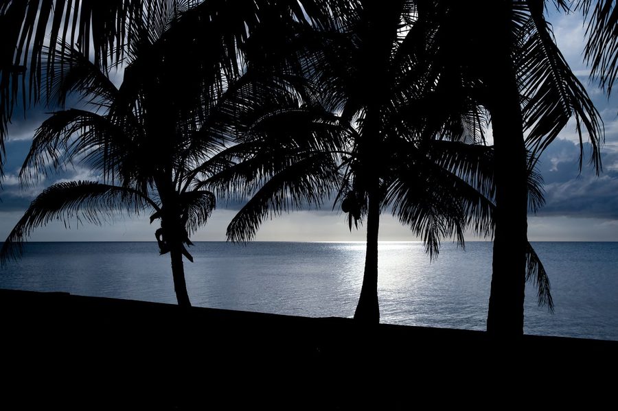 A bright day on a Bahamian shore