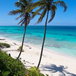 Secret Paradise