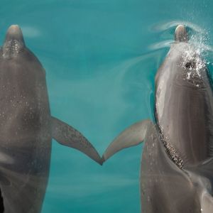You and Me