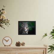 Lord of the Woods 11×14 Framed Poster
