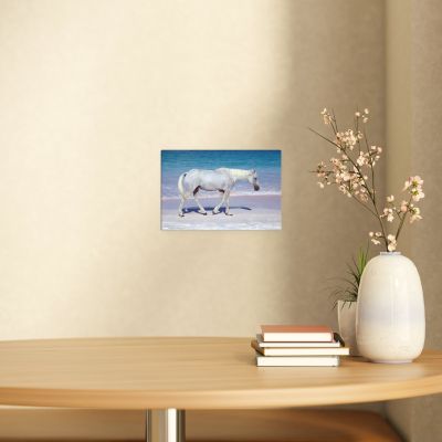 Pink Sand Prince 8×12 Canvas Print