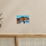 Free Spirits 8×12 Canvas Print