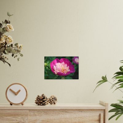 The Birth of Love 8×12 Canvas Print