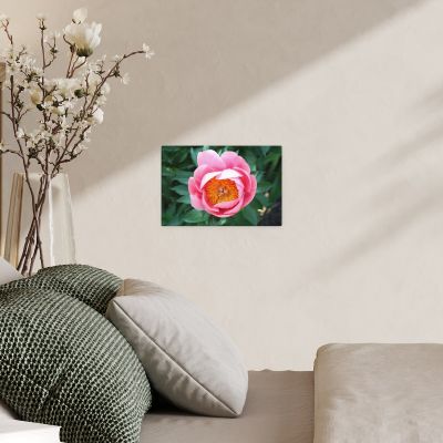 Sunrise in a Cup 8×12 Canvas Print