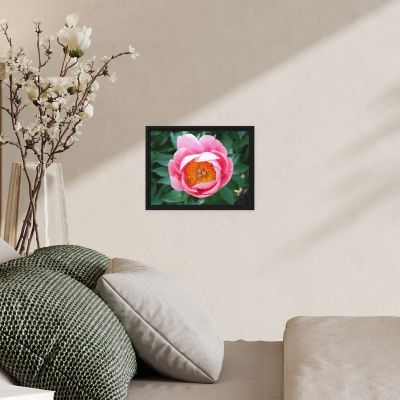 Sunrise in a Cup 9×12 Framed Canvas Print