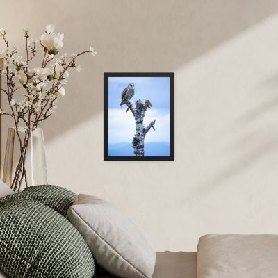 Athena 11×14 Framed Poster