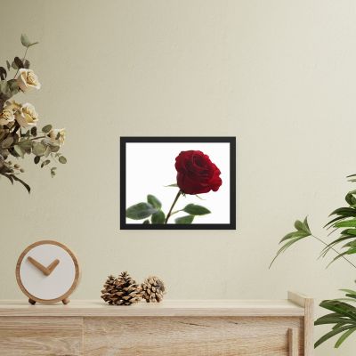 The Lovers Rose 11×14 Framed Poster