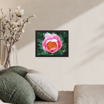 Sunrise in a Cup 11×14 Framed Poster