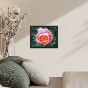 Sunrise in a Cup 11×14 Framed Poster