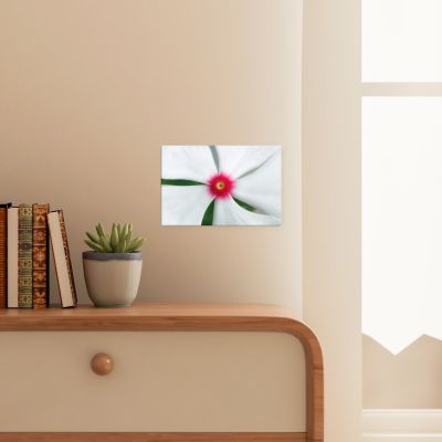 Madagascar Bloom 8×12 Canvas Print