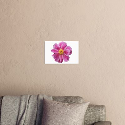 Pink Reverie 8×12 Canvas Print