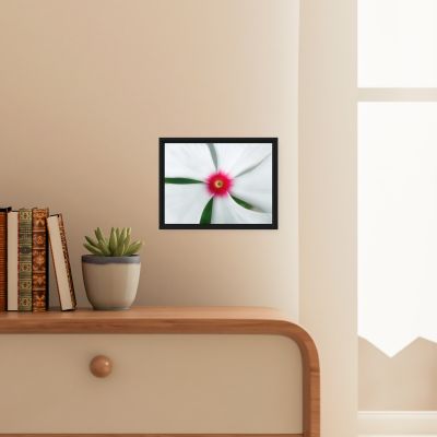 Madagascar Bloom 9×12 Framed Canvas Print