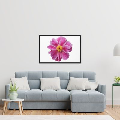 Pink Reverie 24×36 Framed Canvas Print