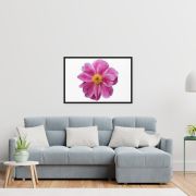 Pink Reverie 24×36 Framed Canvas Print