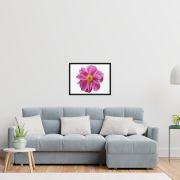 Pink Reverie 18×24 Framed Canvas Print
