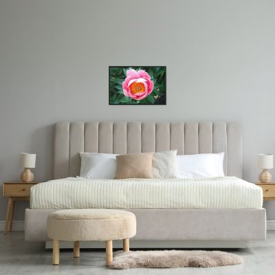 Sunrise in a Cup 24×36 Framed Poster