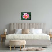 Sunrise in a Cup 24×36 Framed Poster