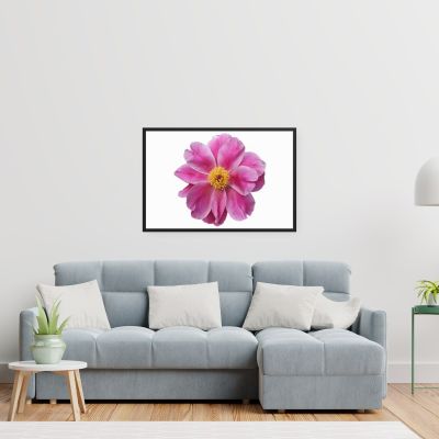 Pink Reverie 24×36 Framed Poster