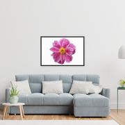 Pink Reverie 24×36 Framed Poster