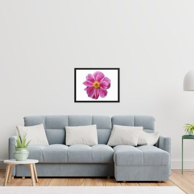 Pink Reverie 18×24 Framed Poster