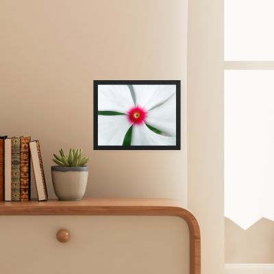 Madagascar Bloom 11×14 Framed Poster