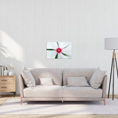 Madagascar Bloom 16×24 Canvas Print
