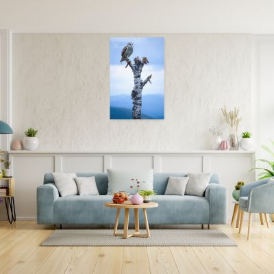 Athena 24×36 Canvas Print