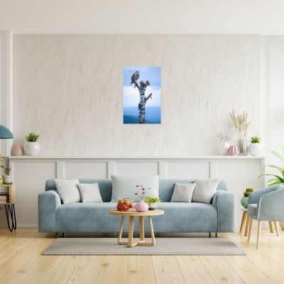 Athena 16×24 Canvas Print